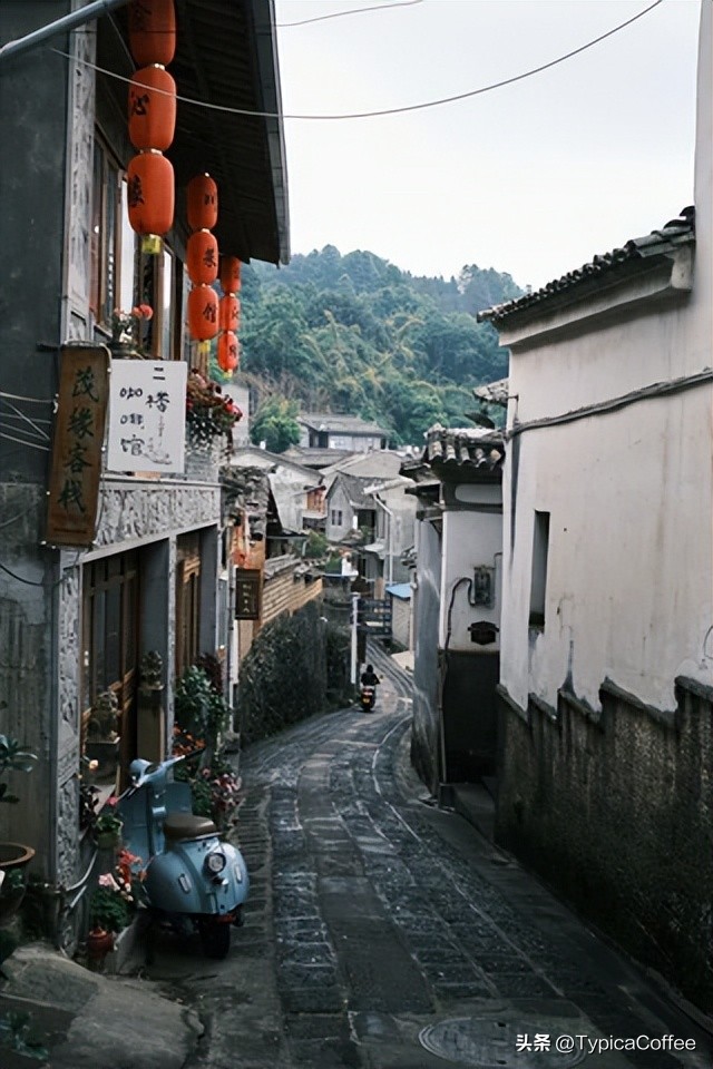 云南本地咖啡品牌,云南小粒咖啡价格