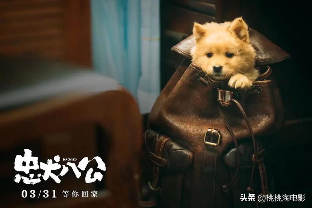 最新院线新片,最近院线新片