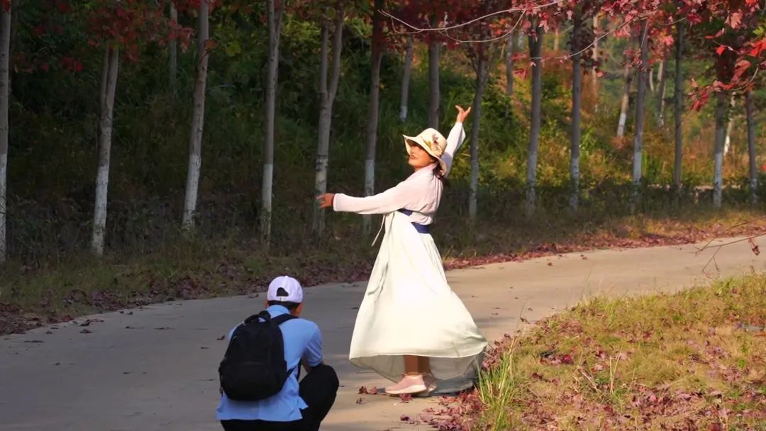 韶关看枫叶的地方,秋天韶关哪里看枫叶最佳