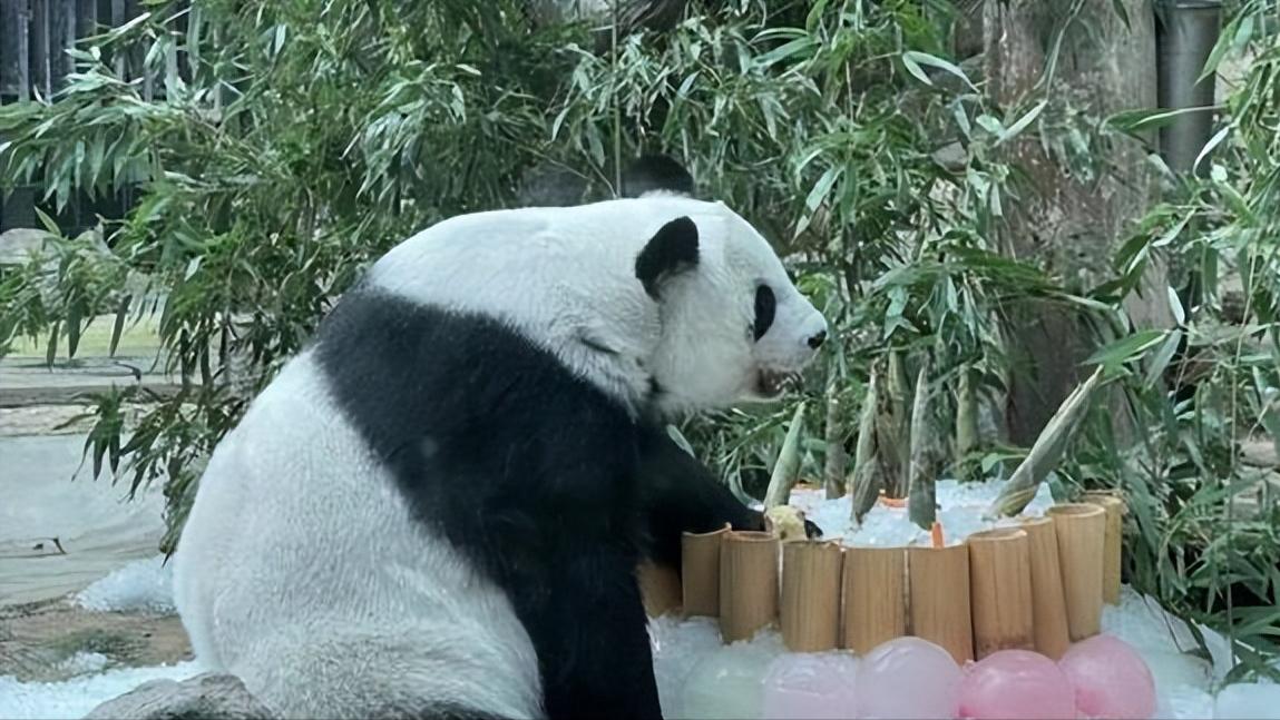 失去中国游客的泰国旅游业现状,泰国旅游现状机场空无一人