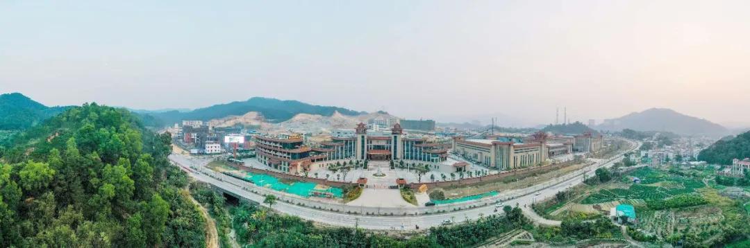 云浮南药产业品种,广东南药十大名药