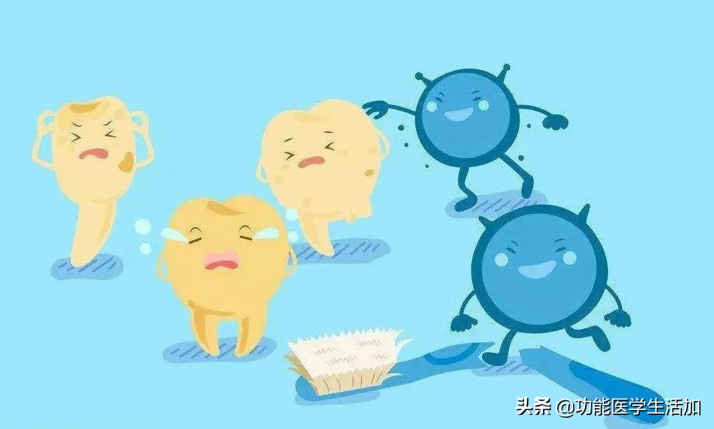 口腔菌群紊乱对身体的危害,怎么培养健康的口腔菌群