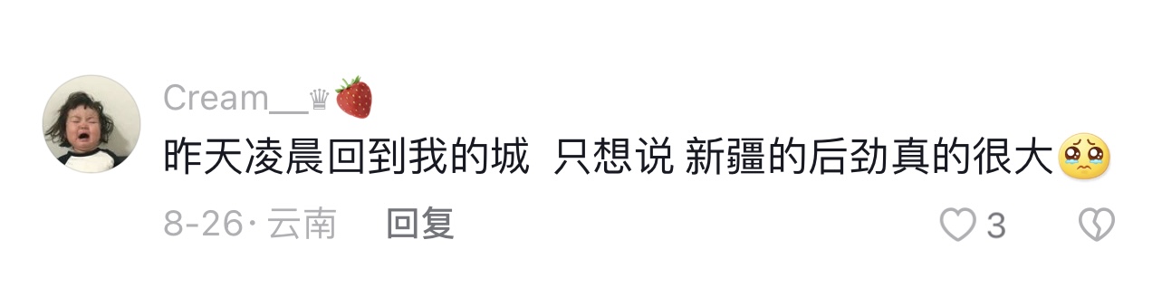 从新疆回来是什么感受,从新疆回来的变化