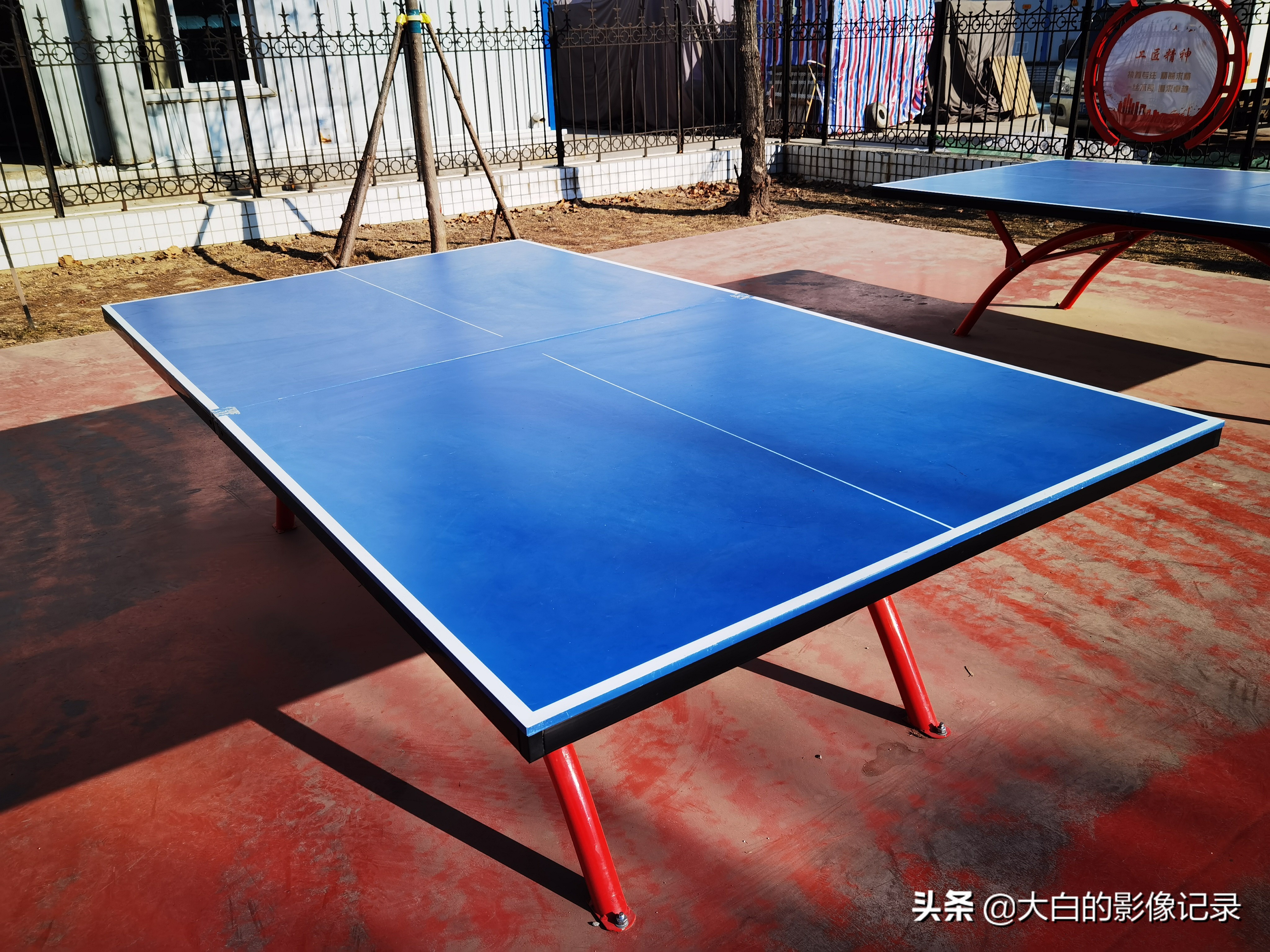 保定哪个公园能打乒乓球,保定室内体育馆乒乓球