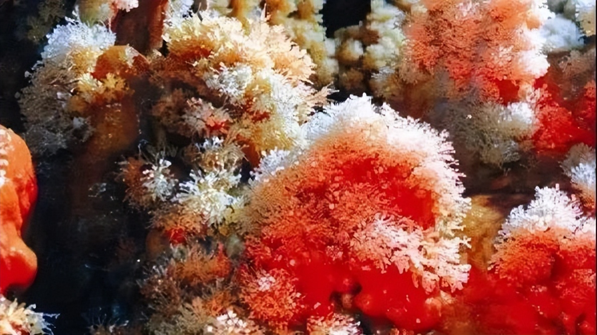 比空调舒服的避暑胜地,八个凉爽的避暑地