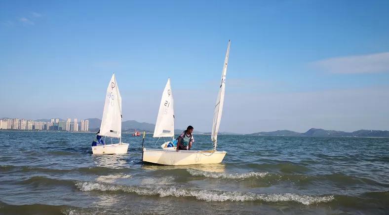 诗咏红楼梦100首,诗品三首原文及翻译