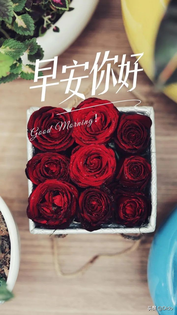 10月17日周一早安，能低头做事，才能抬头做人