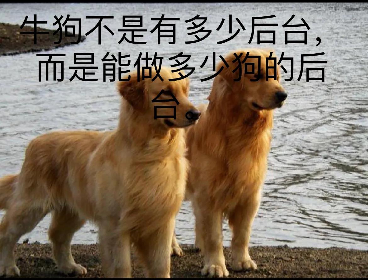 幽默笑话昨晚我梦见你了,关于已婚的幽默笑话