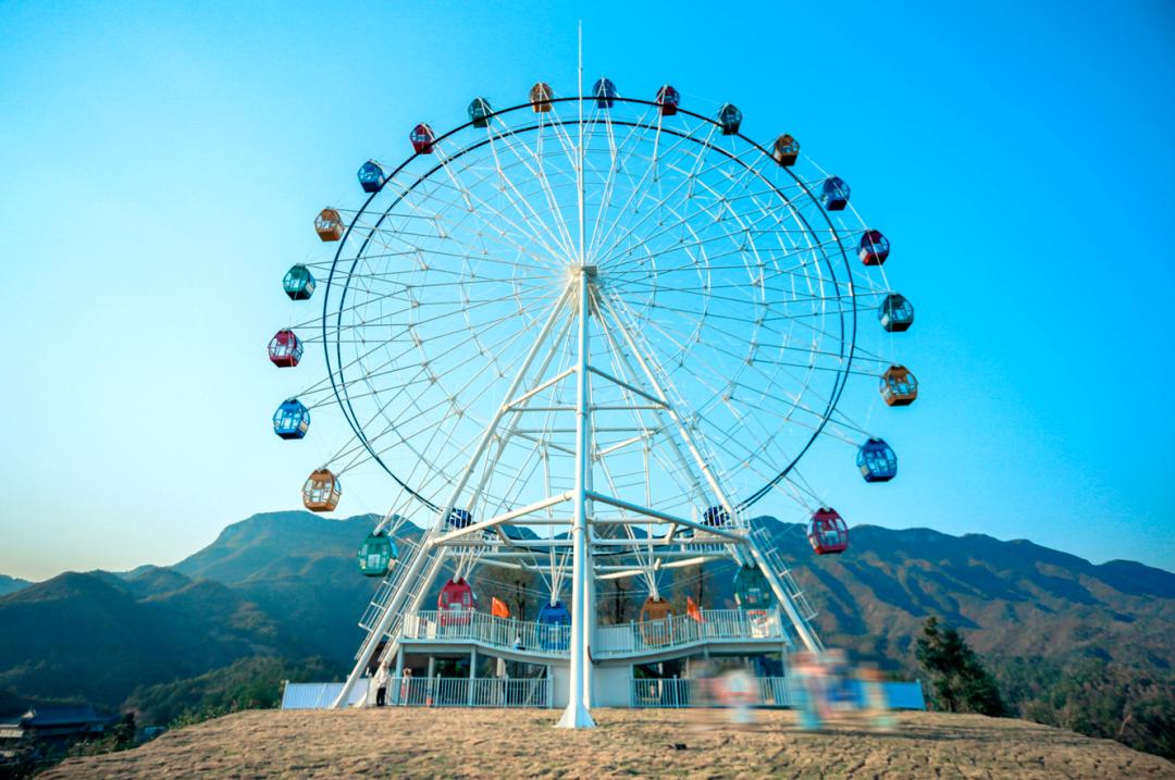 到咸宁看国宝过大年,离家45年的国宝回湖北咸宁过年