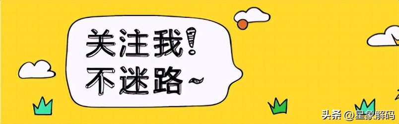 属相猪的幸运星,属相猪星座运势详解