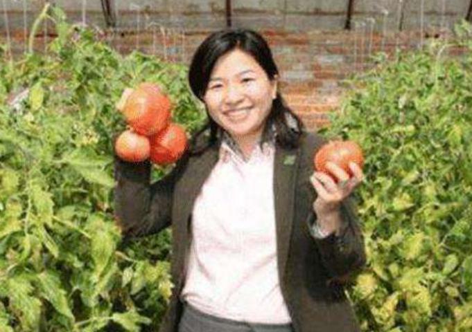 女博士放弃百万年薪回农村种梨,女博士放弃年薪两百万回乡种茶