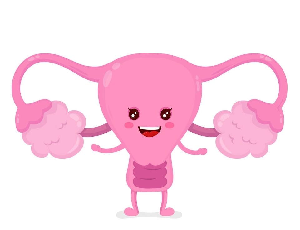 派特灵生物科普｜子宫颈低级别鳞状上皮内病变管理的中国专家共识