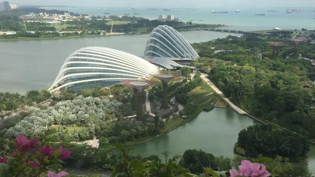 滨水休闲产业全球考察之旅(十一)新加坡滨海湾花园的新颖创意