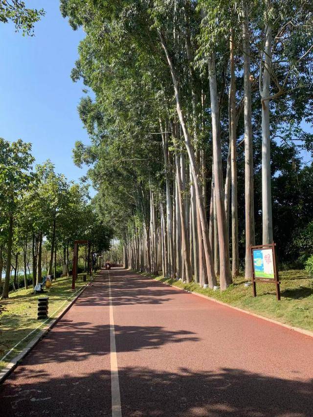 南宁日落柳沙公园,漫步在南宁柳沙公园