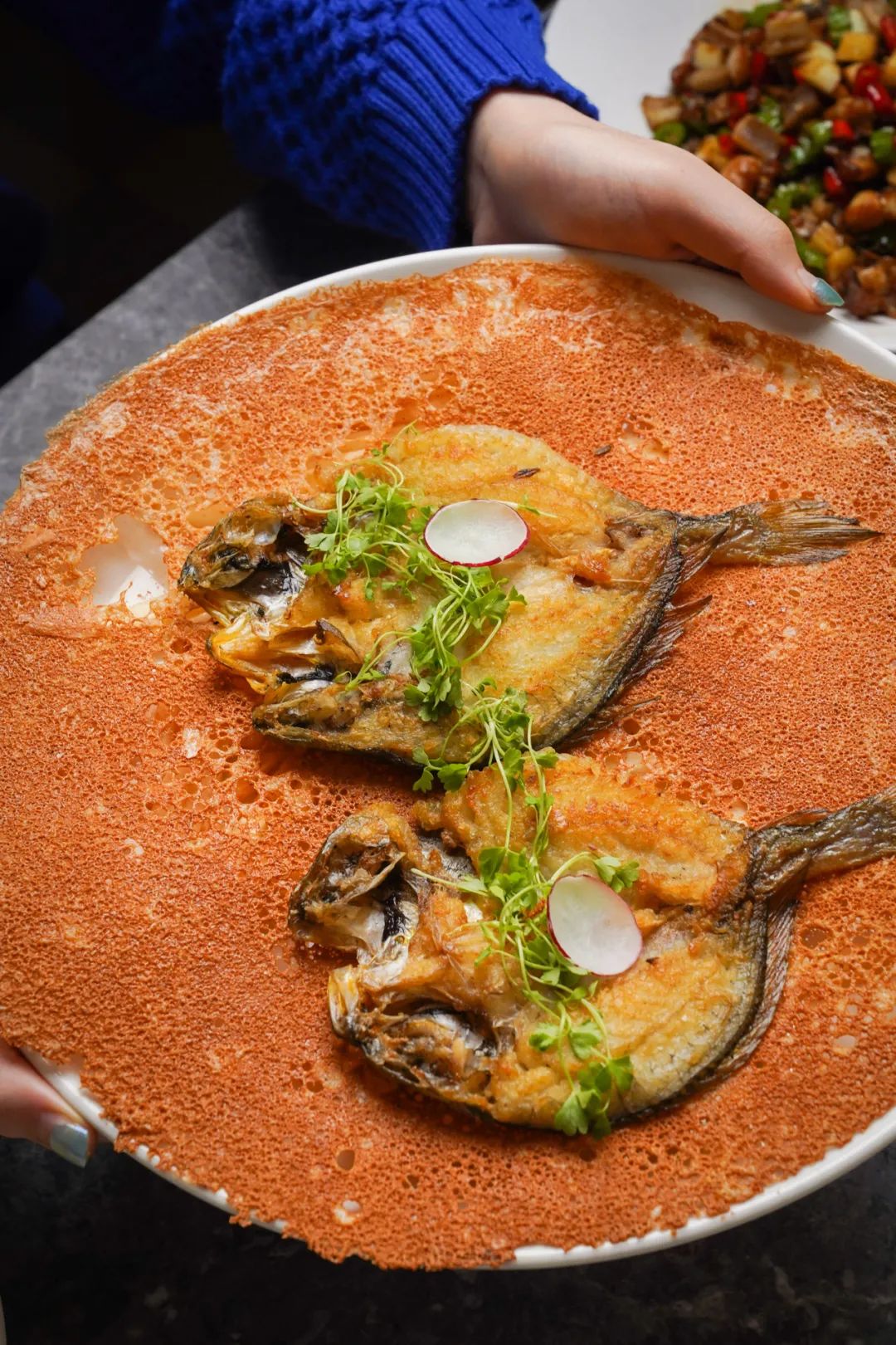 爆火港剧2018,2016年的爆火视频