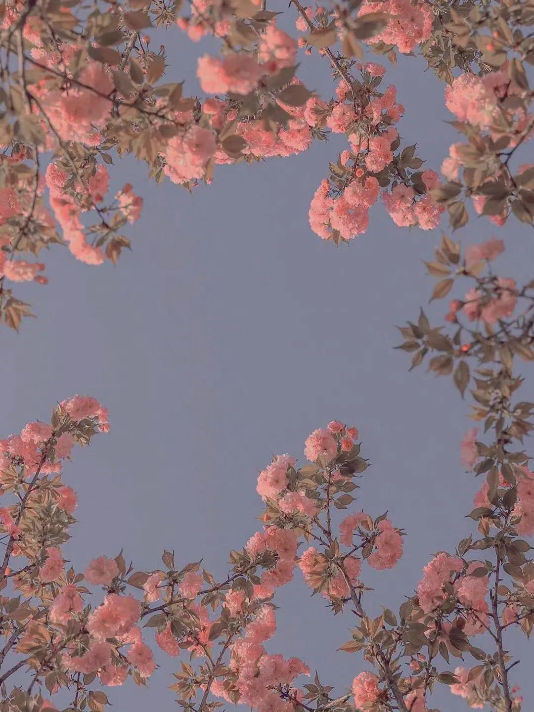 耐人寻味值得琢磨是什么成语,耐人寻味的成语故事