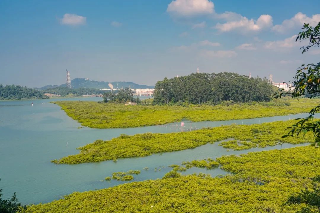 这座海滨小城可真美丽,小众旅行海边小城市