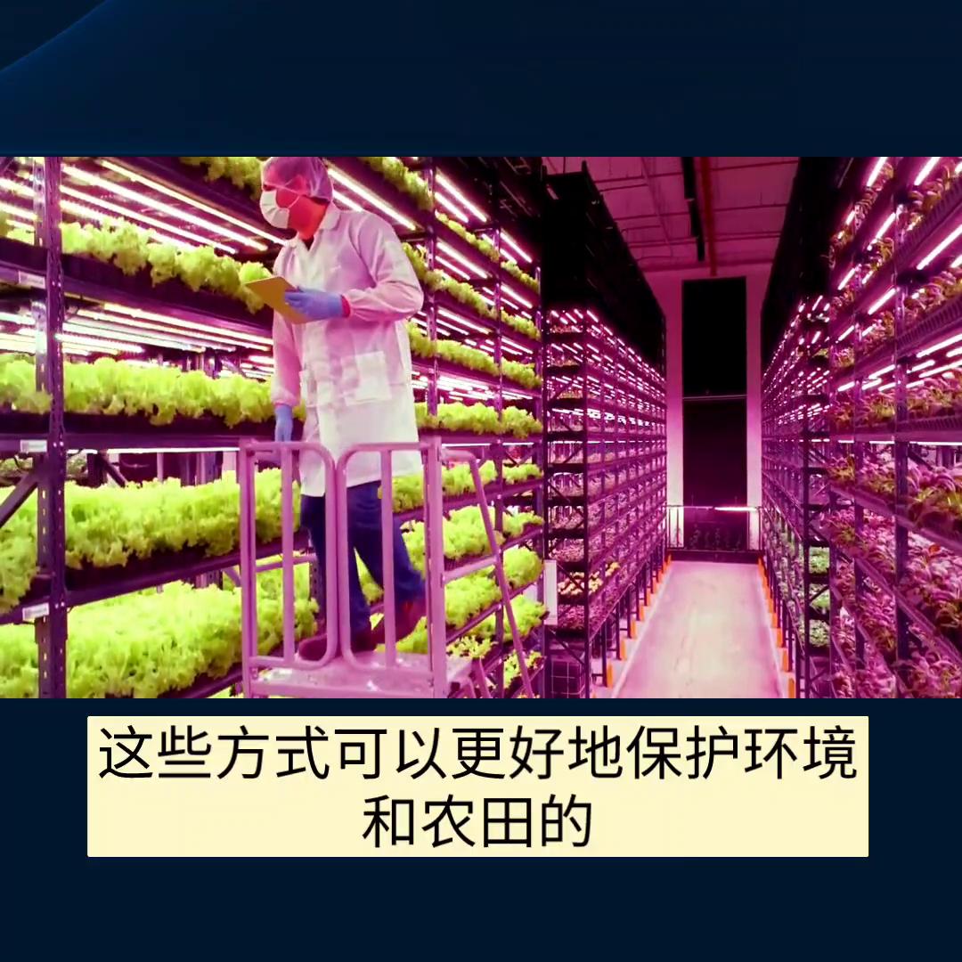 水产养殖创业,海南水产养殖创业项目申报