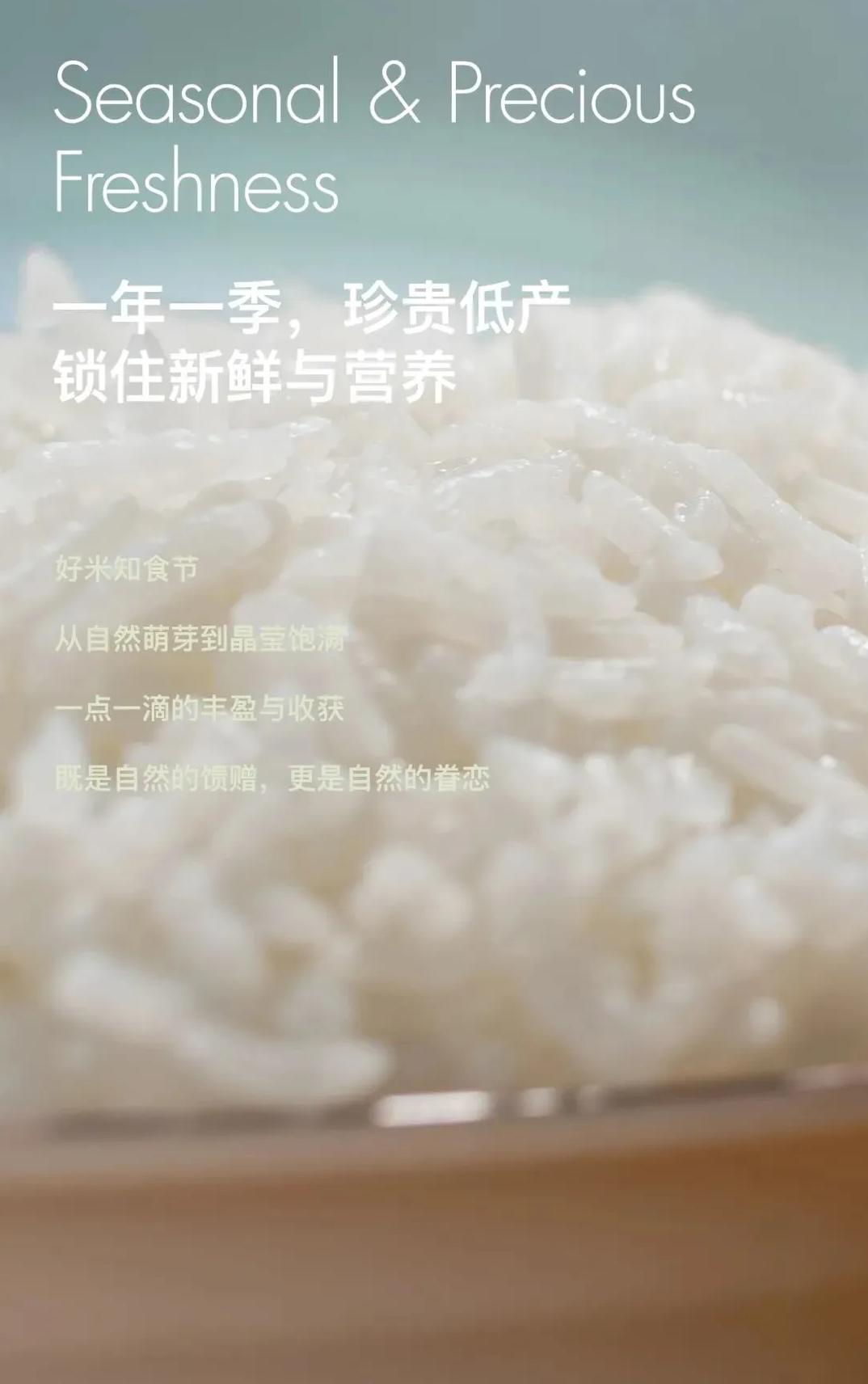 大道恒美×睿谷生态：大品牌战略，赋新生活方式营销