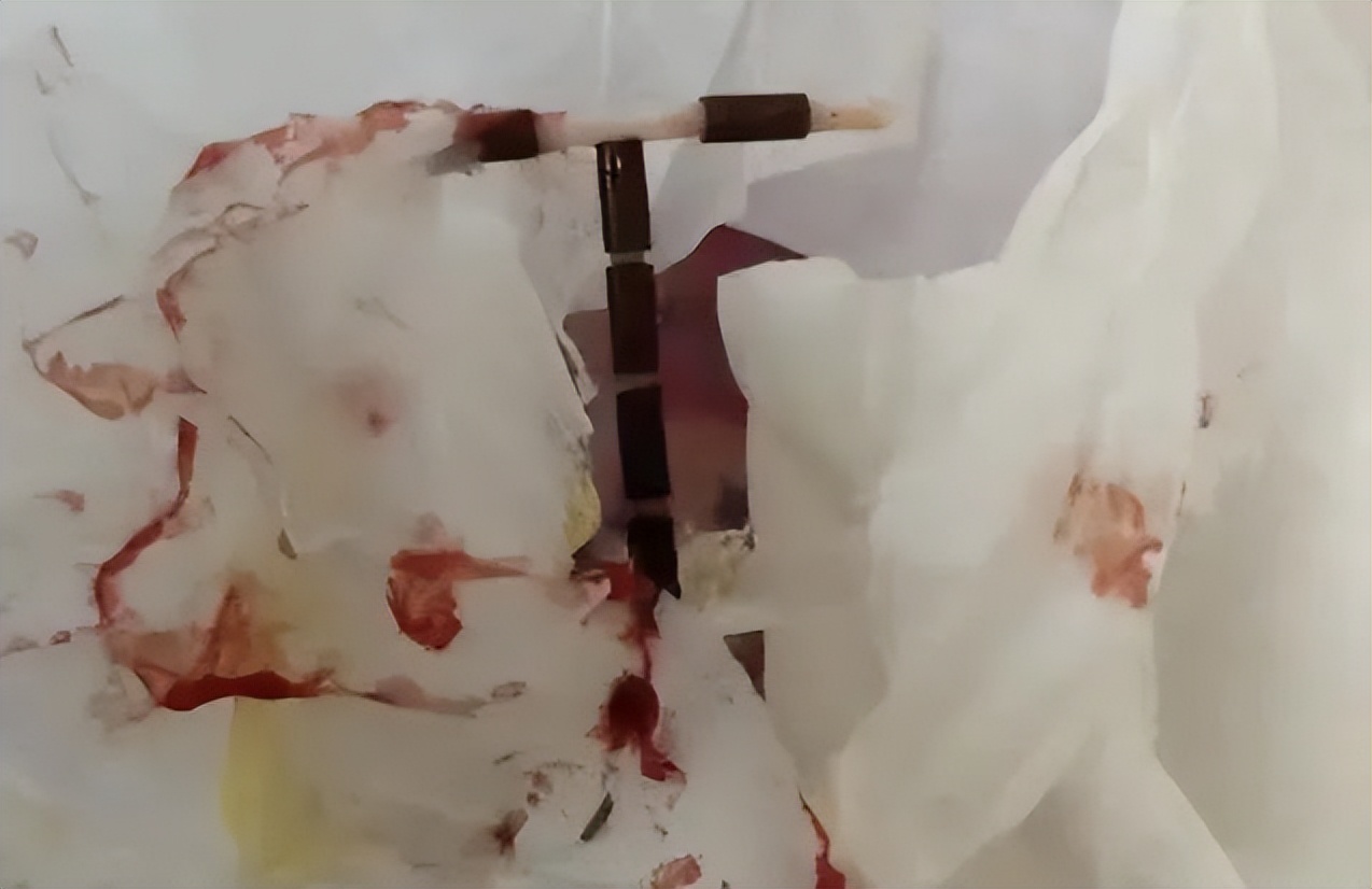 多名妙龄女子惨遭侵害揭露人性,1亿单身女性背后的残忍真相