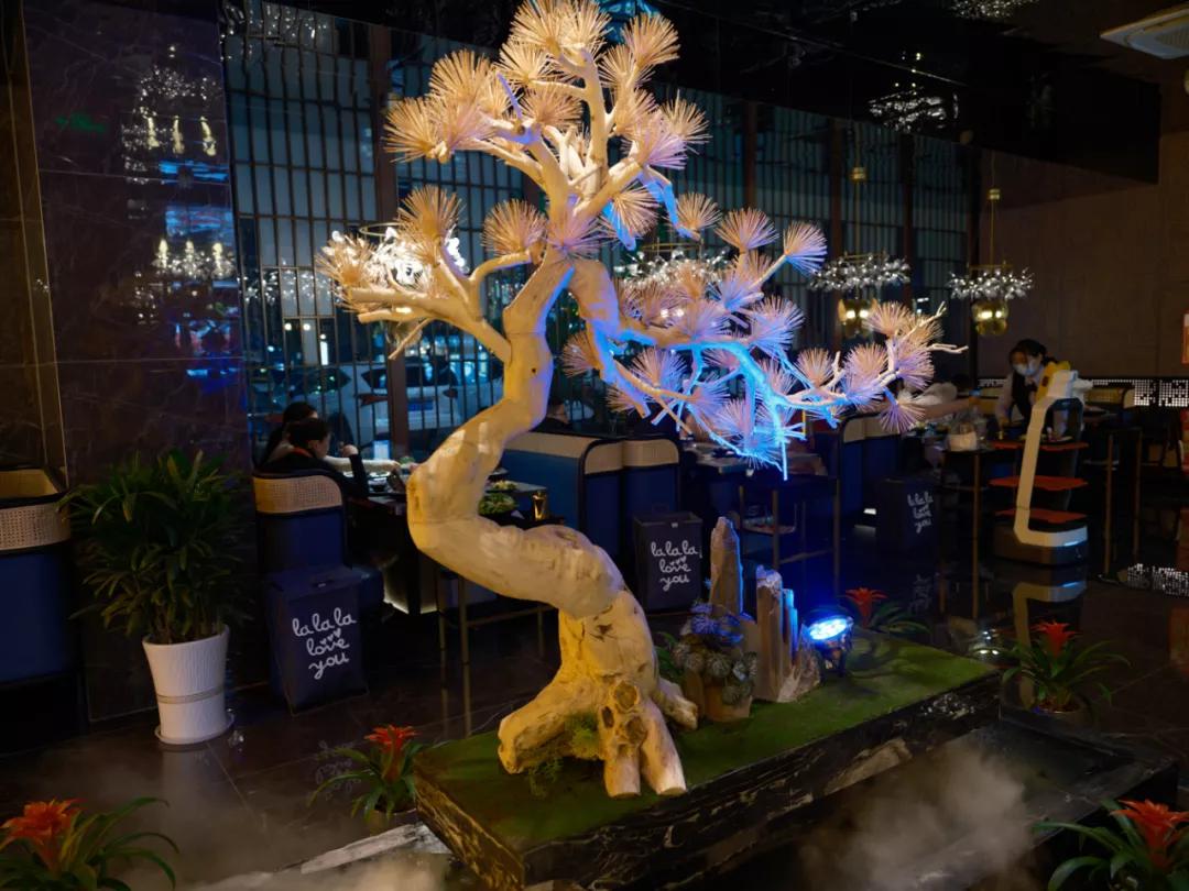 注册证被吊销,注册4600个账号被判一年