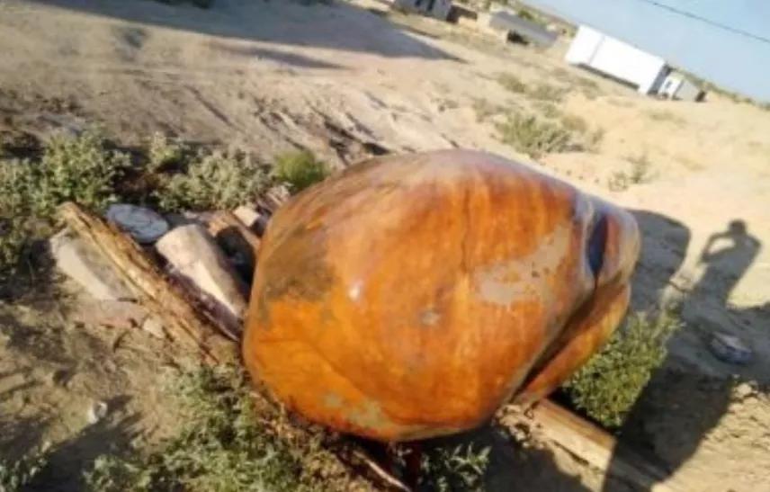 捡石头渐渐成为一种职业，挣钱吗？不少人发了