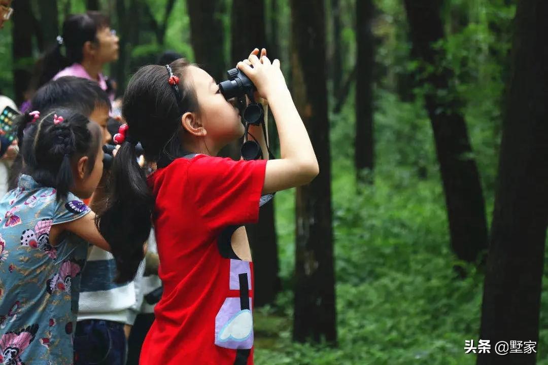 暑假出游苏州旅游攻略大全,暑假旅游苏州出发攻略最新