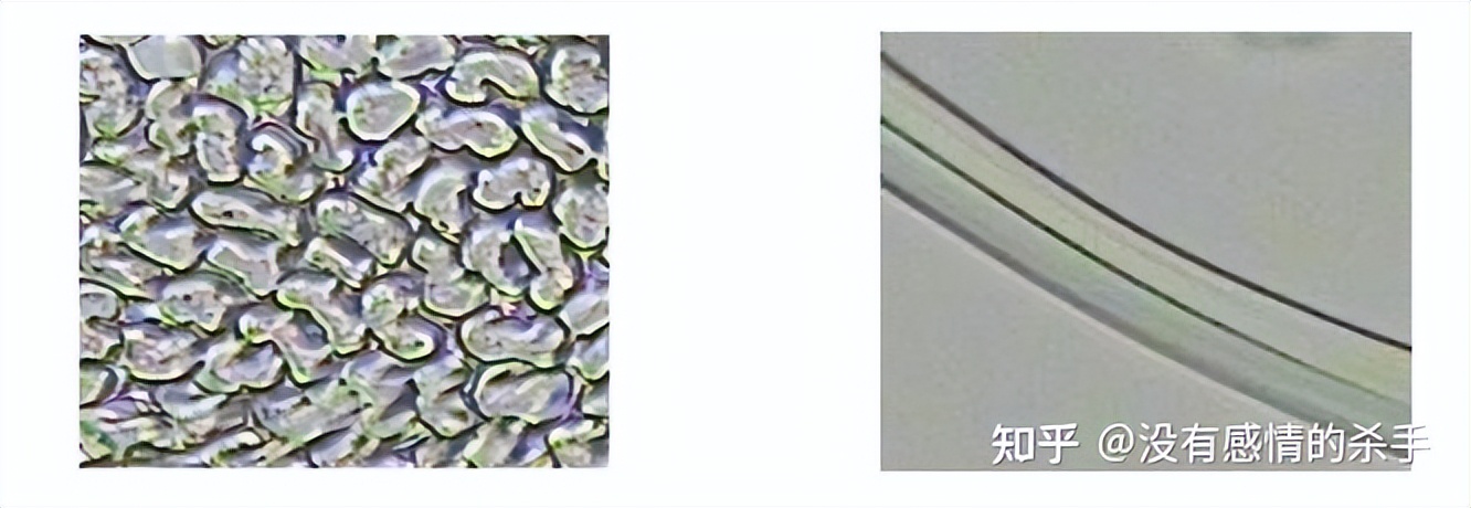 天丝莫代尔和莱赛尔纤维的区别,莱赛尔纤维天丝是什么材质