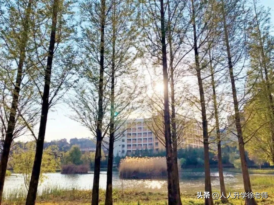 昆明市第八中学初中部,云南省昆明市第八中学招生