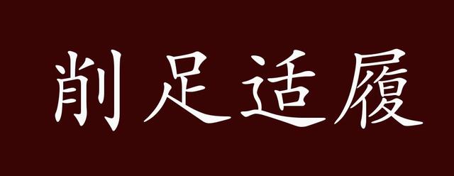 一天一个成语精彩语句,什么足适履成语
