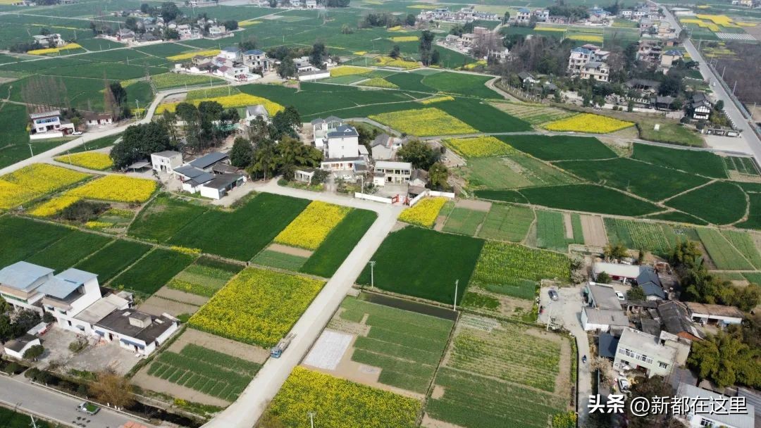 天府粮仓示范区建设,天府新区100亿最新项目
