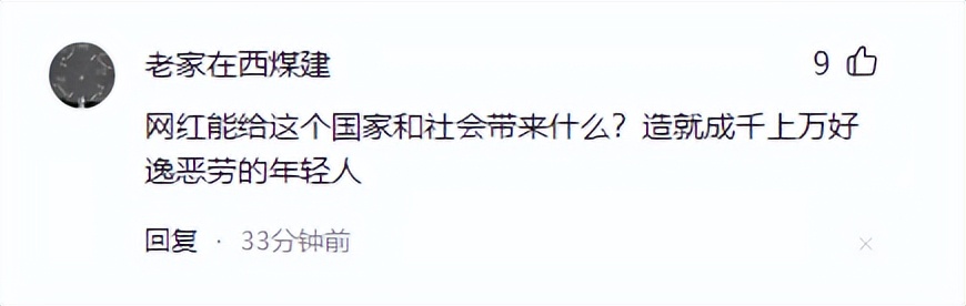 各大网红翻车事件,网红翻车事件屡禁不止