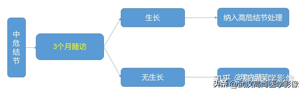 10毫米的肺结节恶性死亡率有多大,1厘米多的肺结节良性可能性多大