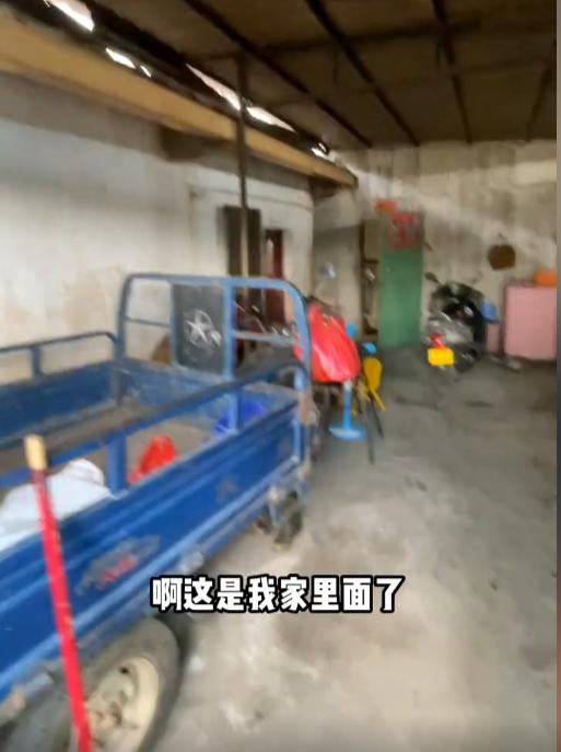 全能外卖小哥海扬视频,网红外卖员海扬什么情况