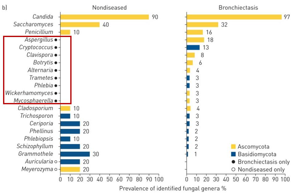 周敏教授：慢阻肺病、支扩及慢阻肺支扩重叠综合征气道微生物研究