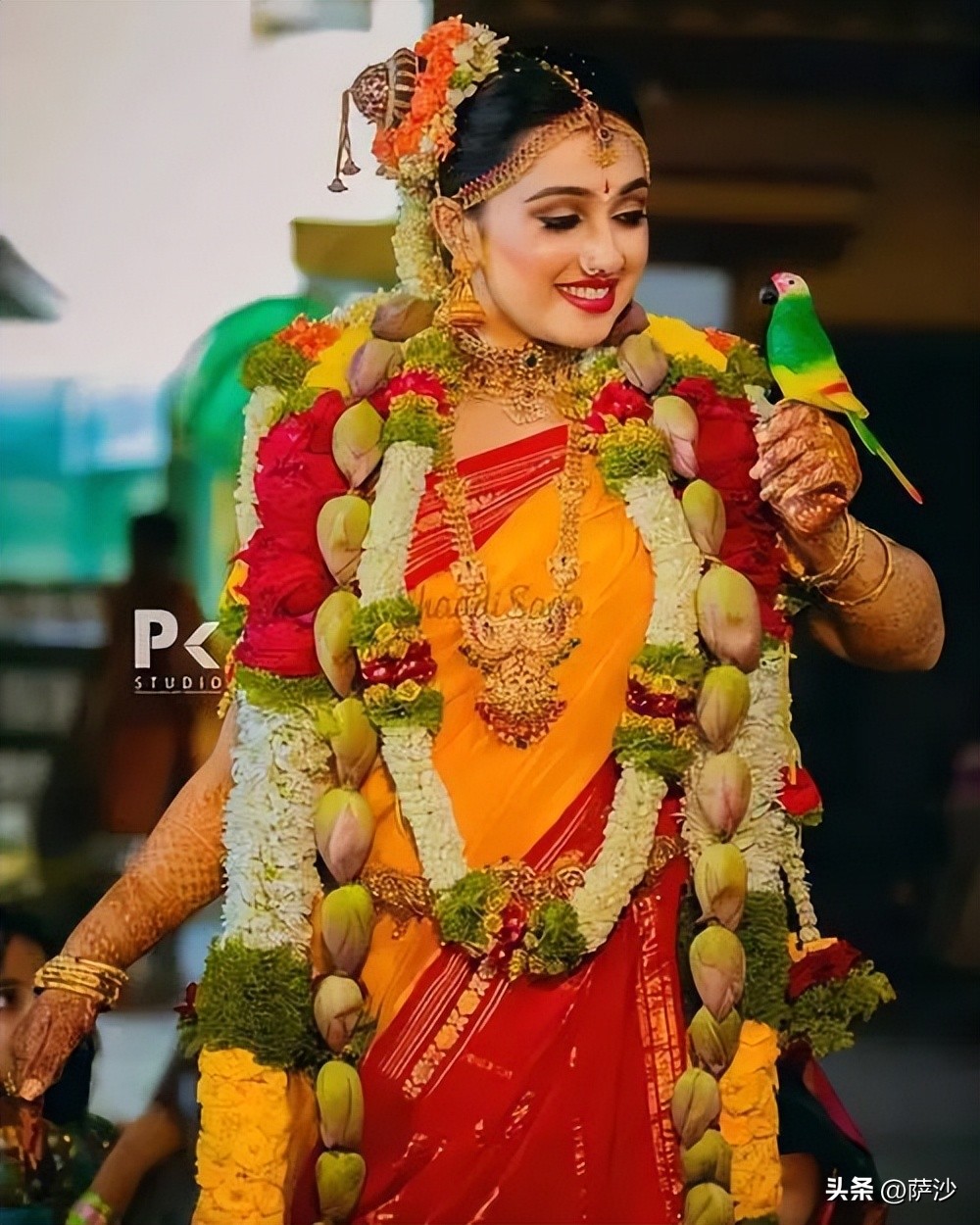 印度人鲍斯 (印度人钱德拉·鲍斯)