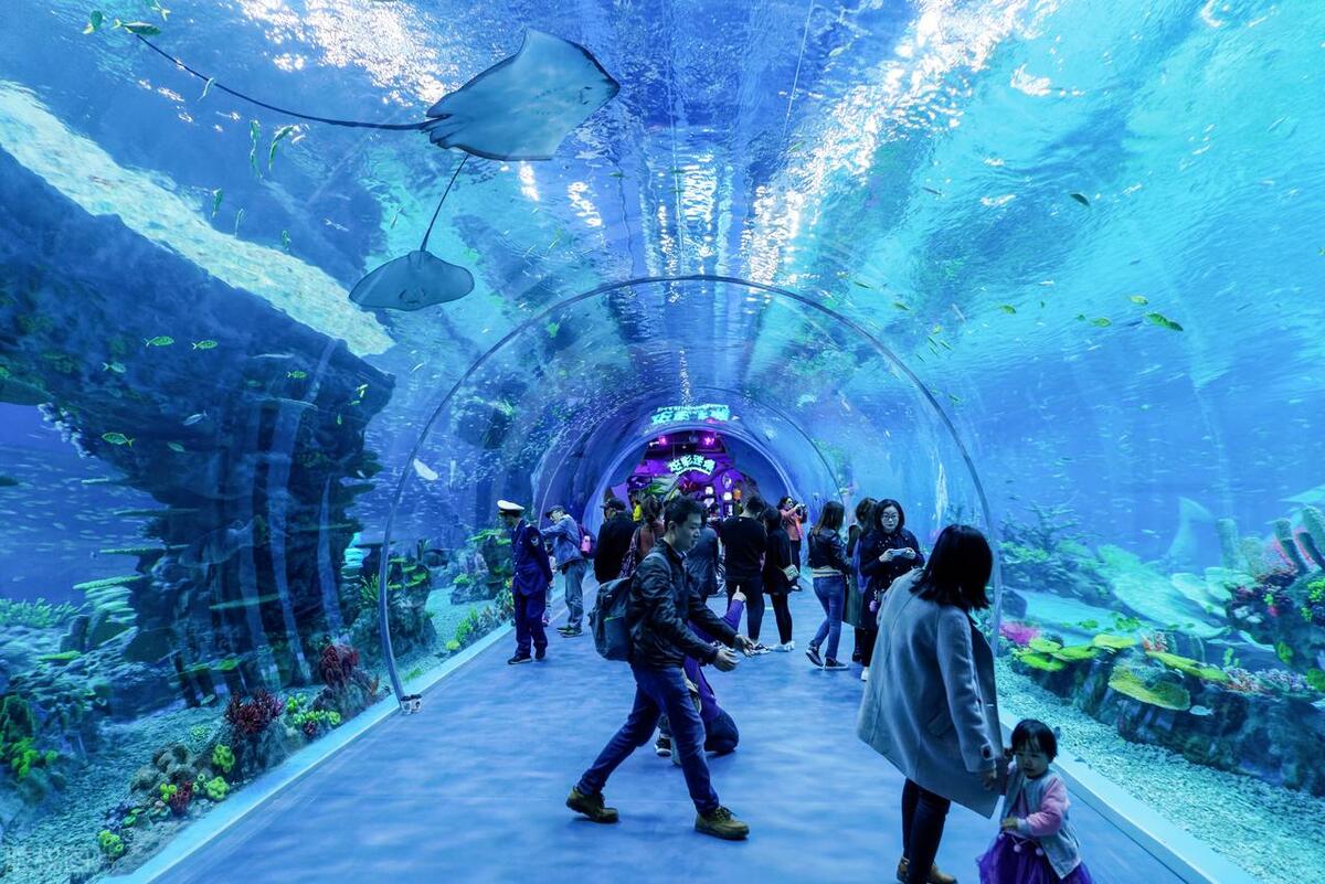 上海旅游十大必去景点,上海欢乐谷必玩十大景点