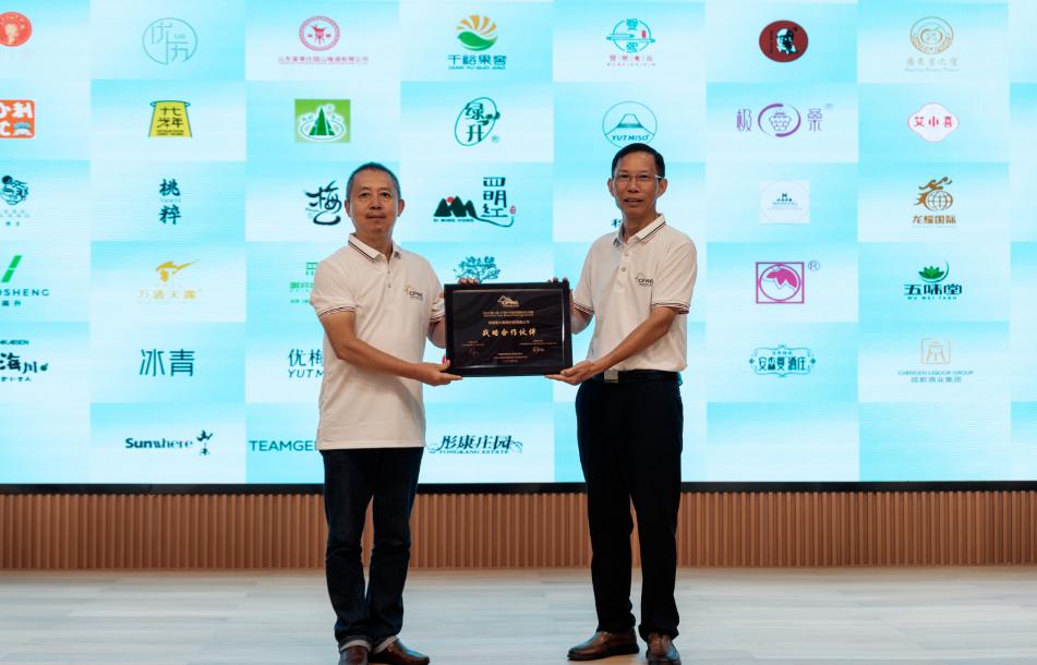 果酒比赛,2023年中国果酒排行榜