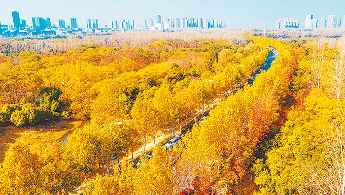 合肥市新桥机场旁边有旅游景点,合肥市好玩的旅游景点