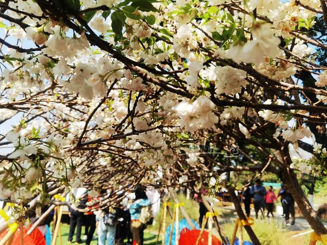 都市农业公园广州,广州农业公园近况