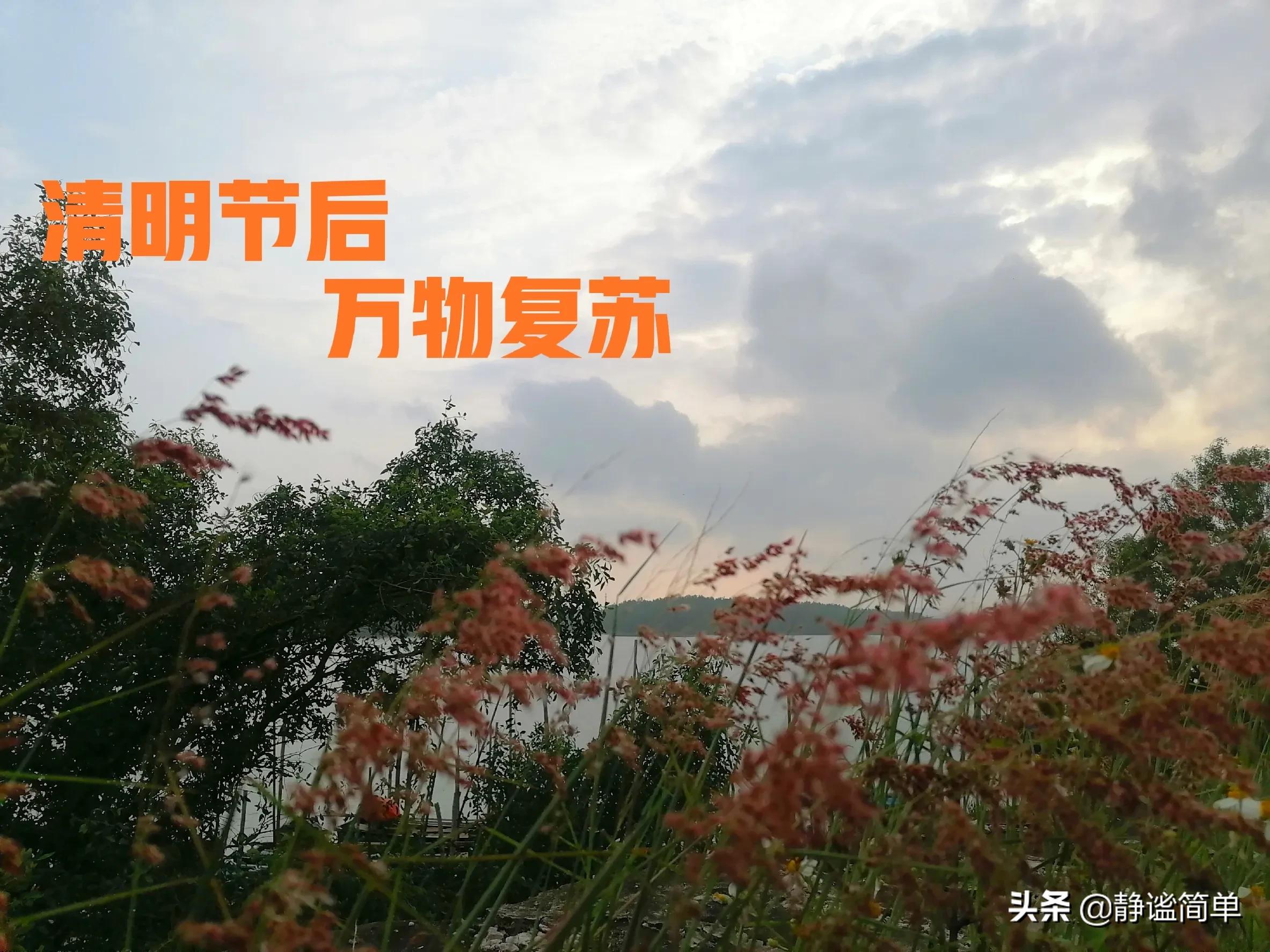 风干海鱼做法最好吃最简单,清明节气鱼做法