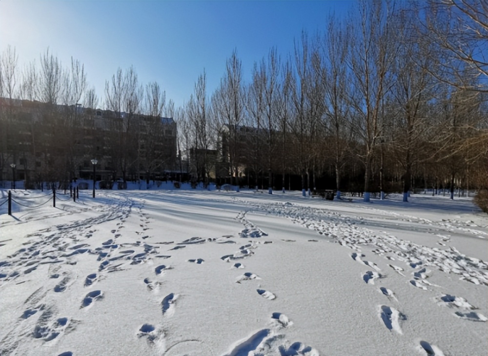 坦克300雪地驾驶用什么模式,坦克300雪地测试