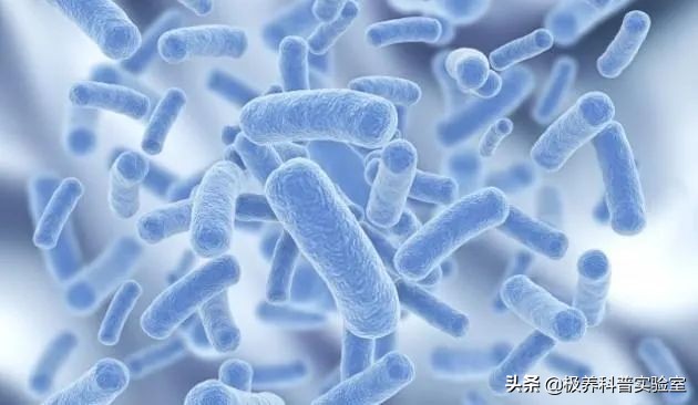 清肠茶喝3年结果肠子都黑了,除了肠清茶还有哪种茶可以清肠道