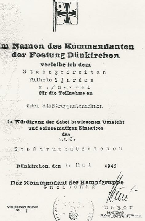 霍尔姆盾章二战德国,二战德国军奖章