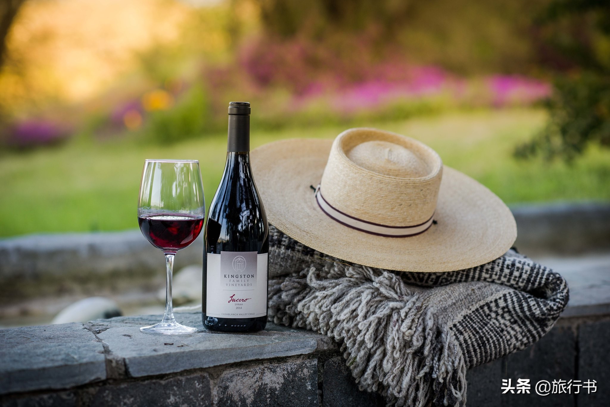 智利葡萄酒和法国葡萄酒哪个好些 (智利葡萄酒和中国葡萄酒口感对比)