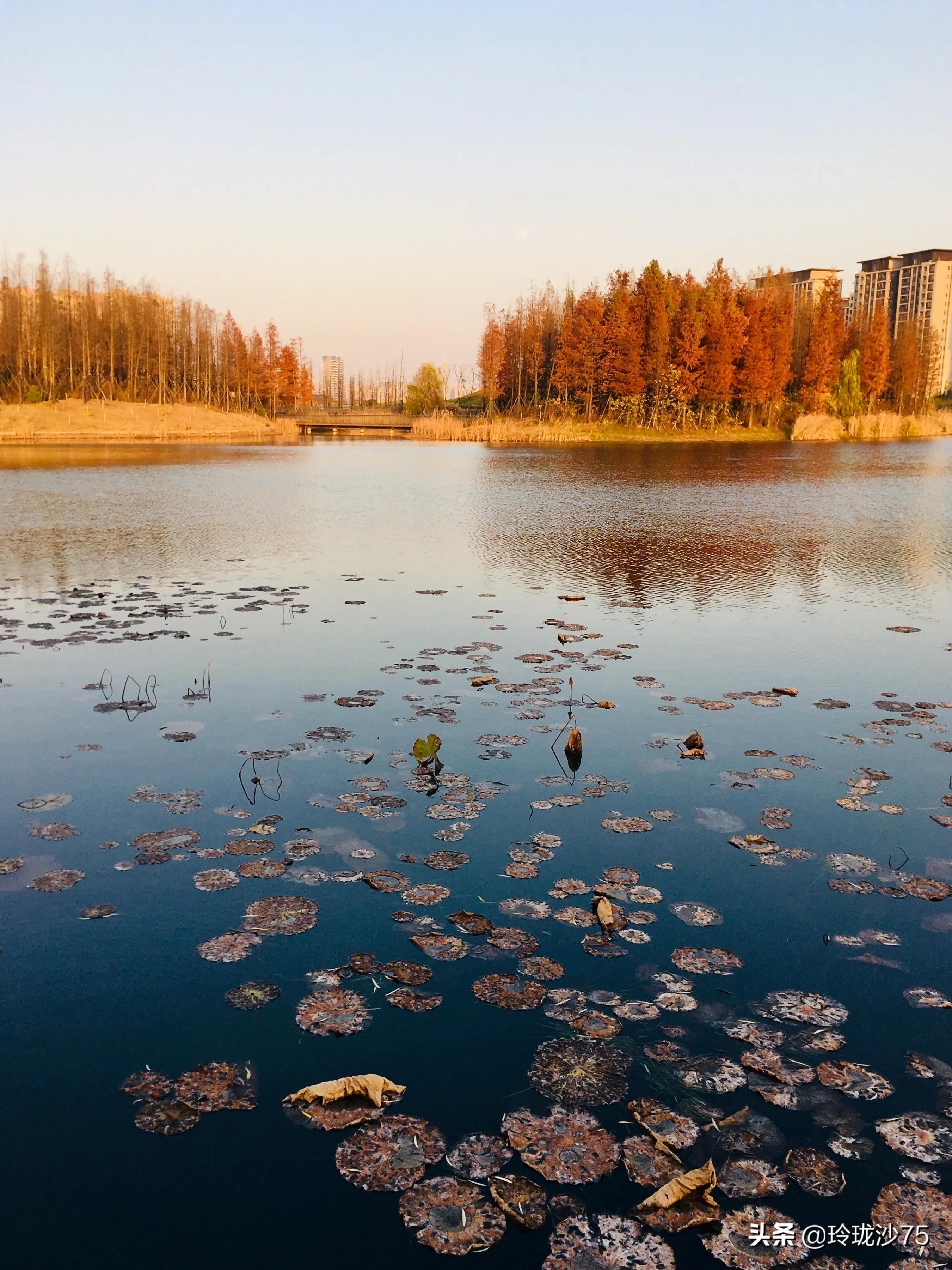 长沙风景美丽的篮球场,长沙王陵公园生态足球场