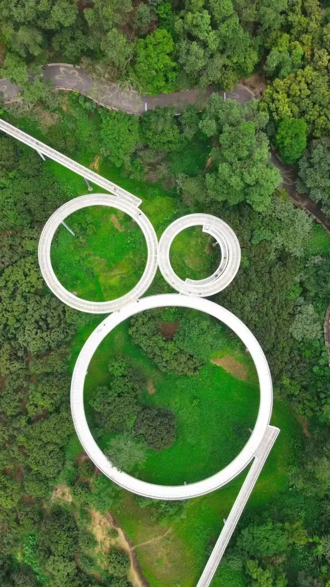 端午假期光明活动超精彩！音乐live、摘荔枝、包粽子……等你解锁！