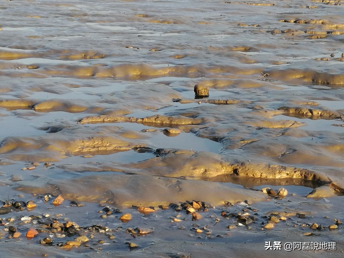 为啥东海的水这么脏,东海为什么那么浑浊