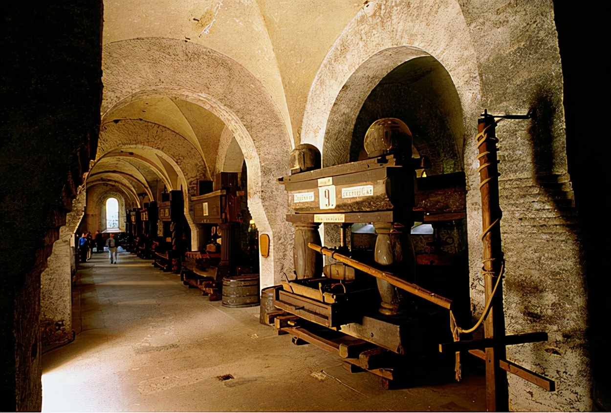 德国葡萄栽培品种有哪些,德国种植最成功的葡萄