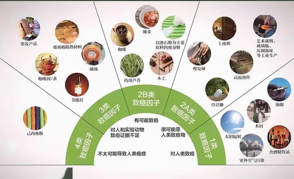 蚝油吃多了会致癌是真的吗,蚝油致癌吗央视